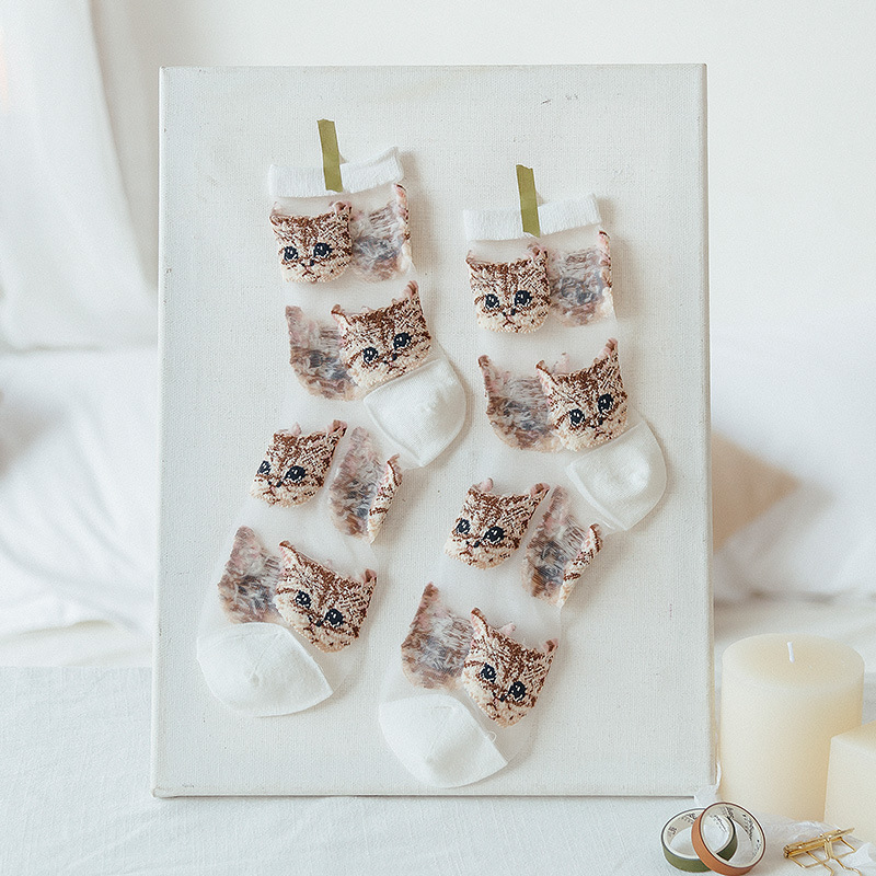 Kasi Cat Embroidery Socks Girls Socks Summer Korean Ins Transparent Glass Silk Stockings Thin Cotton Creative Ankle Stockings